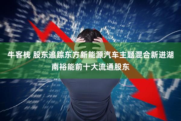 牛客栈 股东追踪东方新能源汽车主题混合新进湖南裕能前十大流通股东
