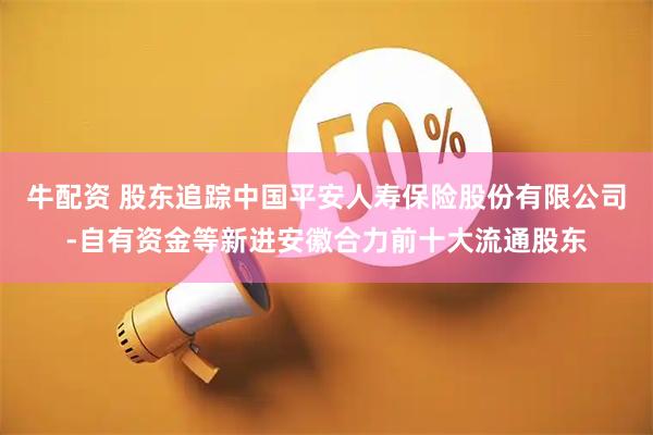 牛配资 股东追踪中国平安人寿保险股份有限公司-自有资金等新进安徽合力前十大流通股东