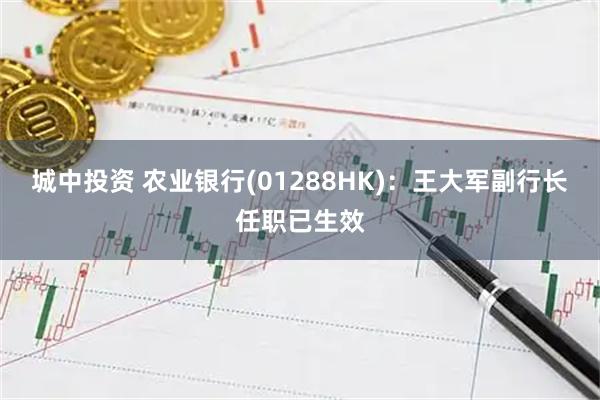 城中投资 农业银行(01288HK)：王大军副行长任职已生效