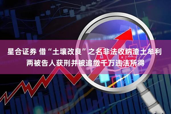 星合证券 借“土壤改良”之名非法收纳渣土牟利 两被告人获刑并被追缴千万违法所得