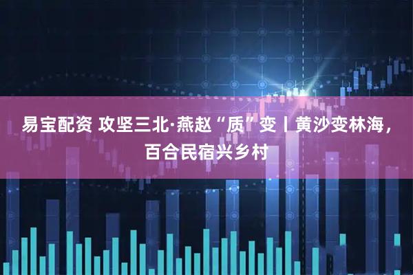 易宝配资 攻坚三北·燕赵“质”变丨黄沙变林海，百合民宿兴乡村